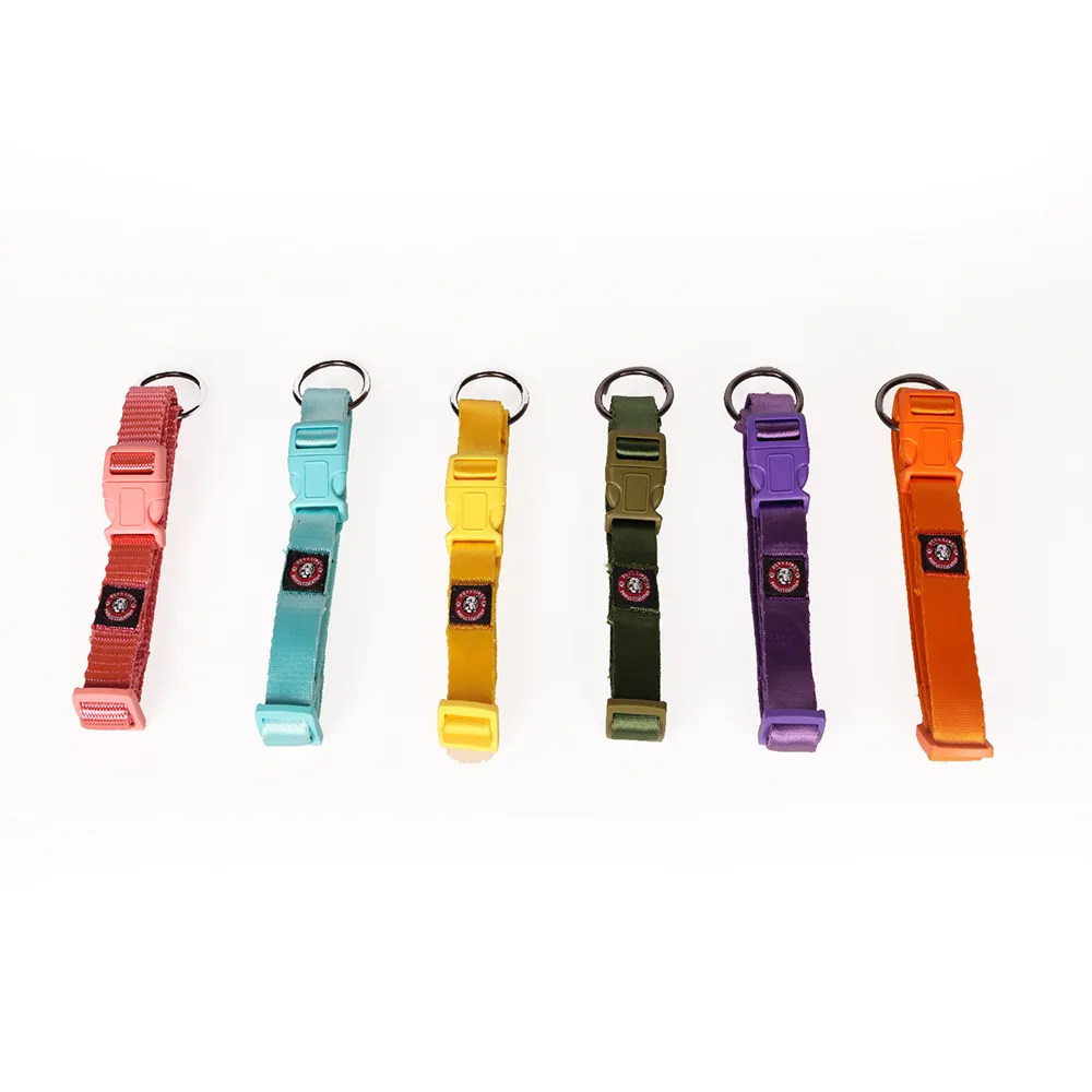 Pets Like Nylon Collar with Adjustable Clip Collar for Dogs (Orange)