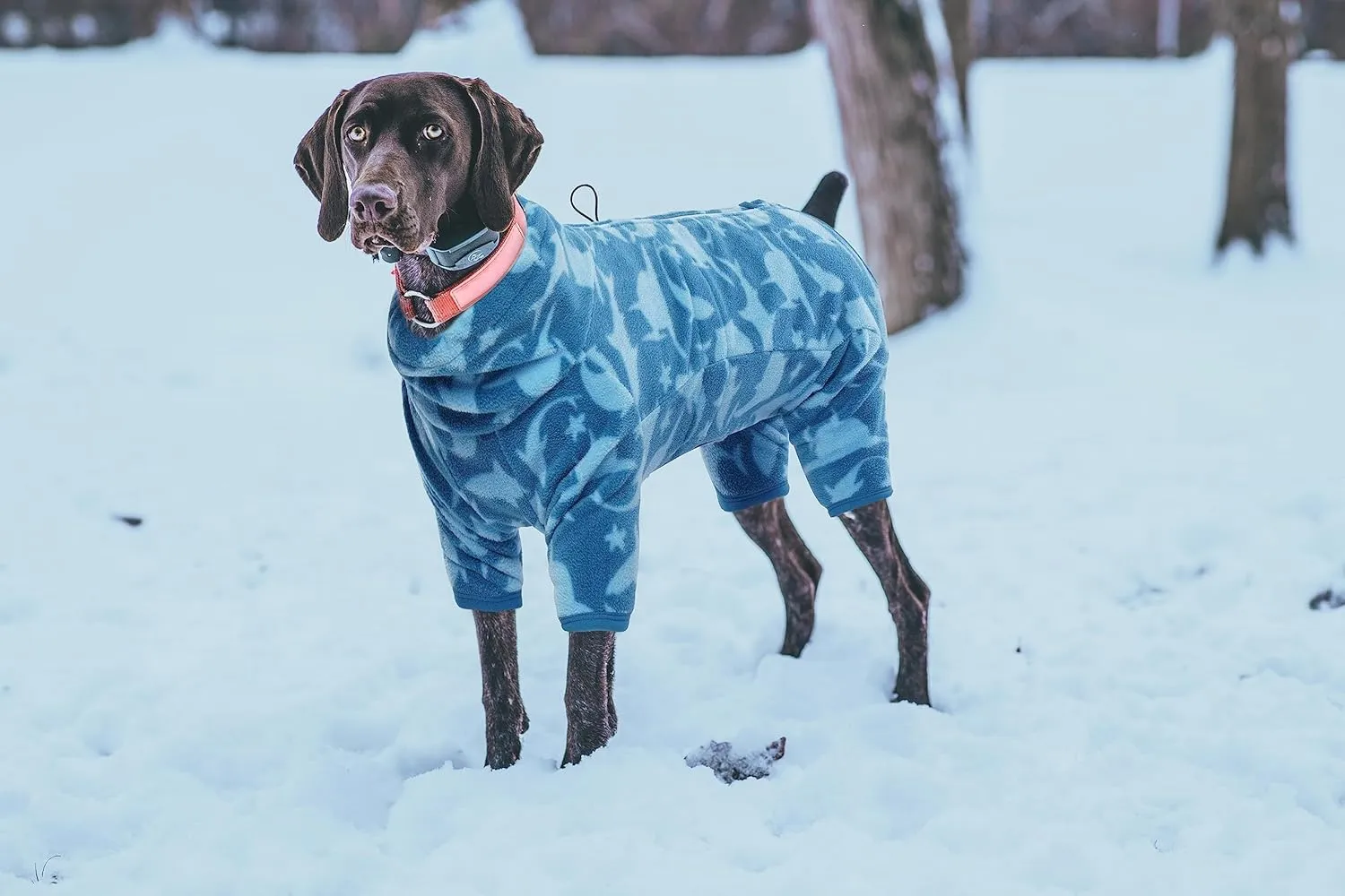 ROZKITCH Dog Winter Coat Soft Fleece Pullover Pajamas, Pet Windproof Warm Cold Weather Jacket Vest with Luminous Zipper, Jumpsuit Apparel Outfit Clothes for Small Medium Large Dog Shark 3XL