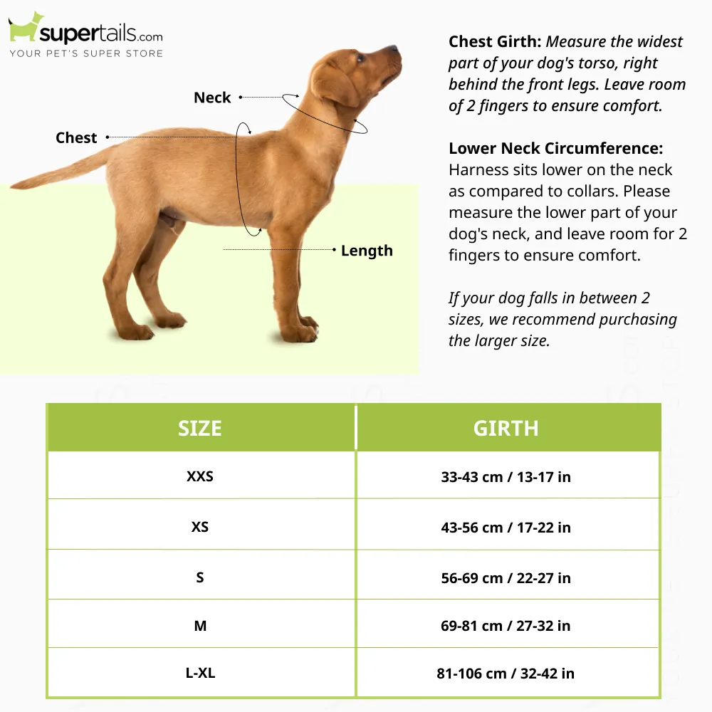 Ruffwear Flagline Harness for Dogs (Meltwater Teal)