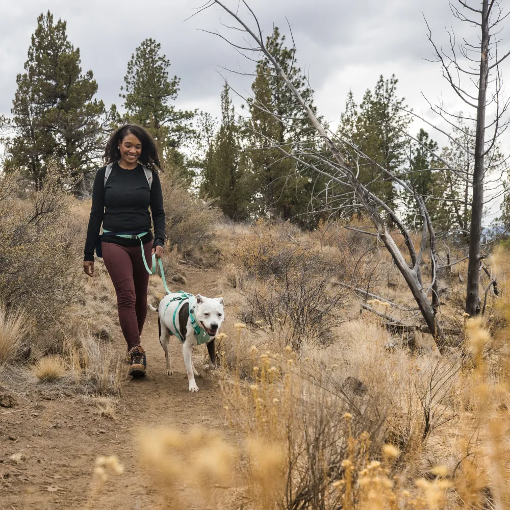 Ruffwear Flagline Harness for Dogs (Meltwater Teal)