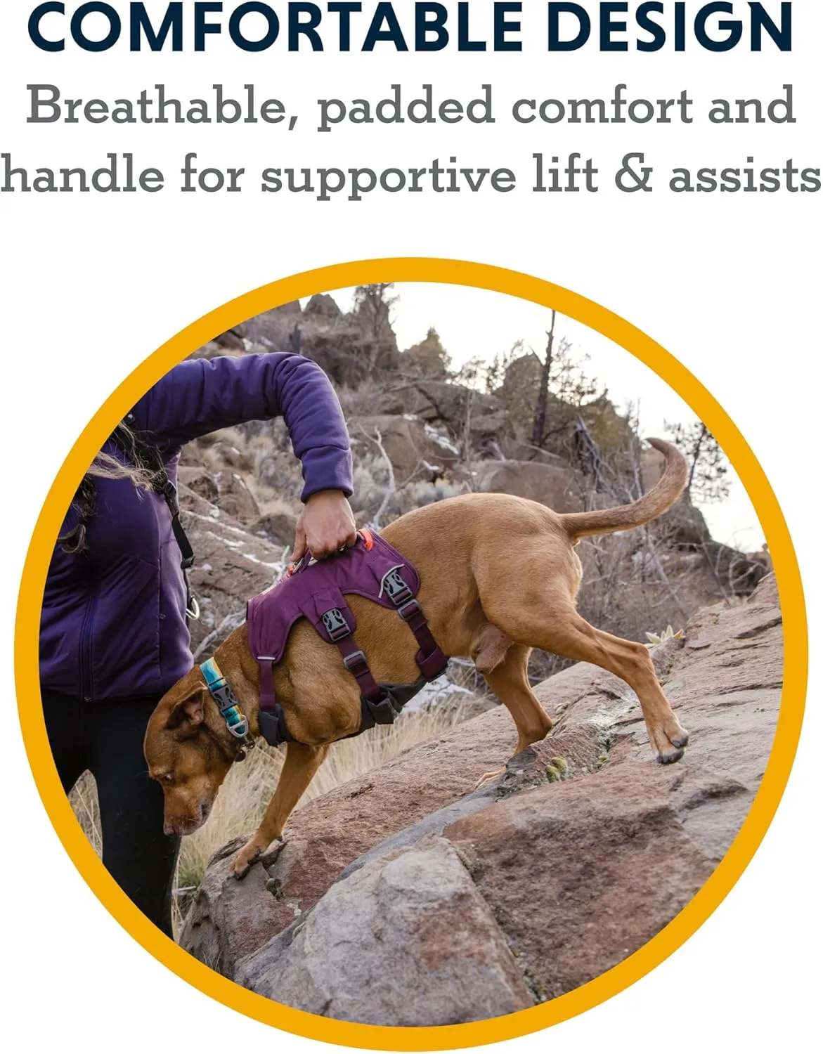 Ruffwear, Web Master, Multi-Use Support Dog Harness, Hiking and Trail Running, Service and Working, Everyday Wear, Purple Rain, X-Small
