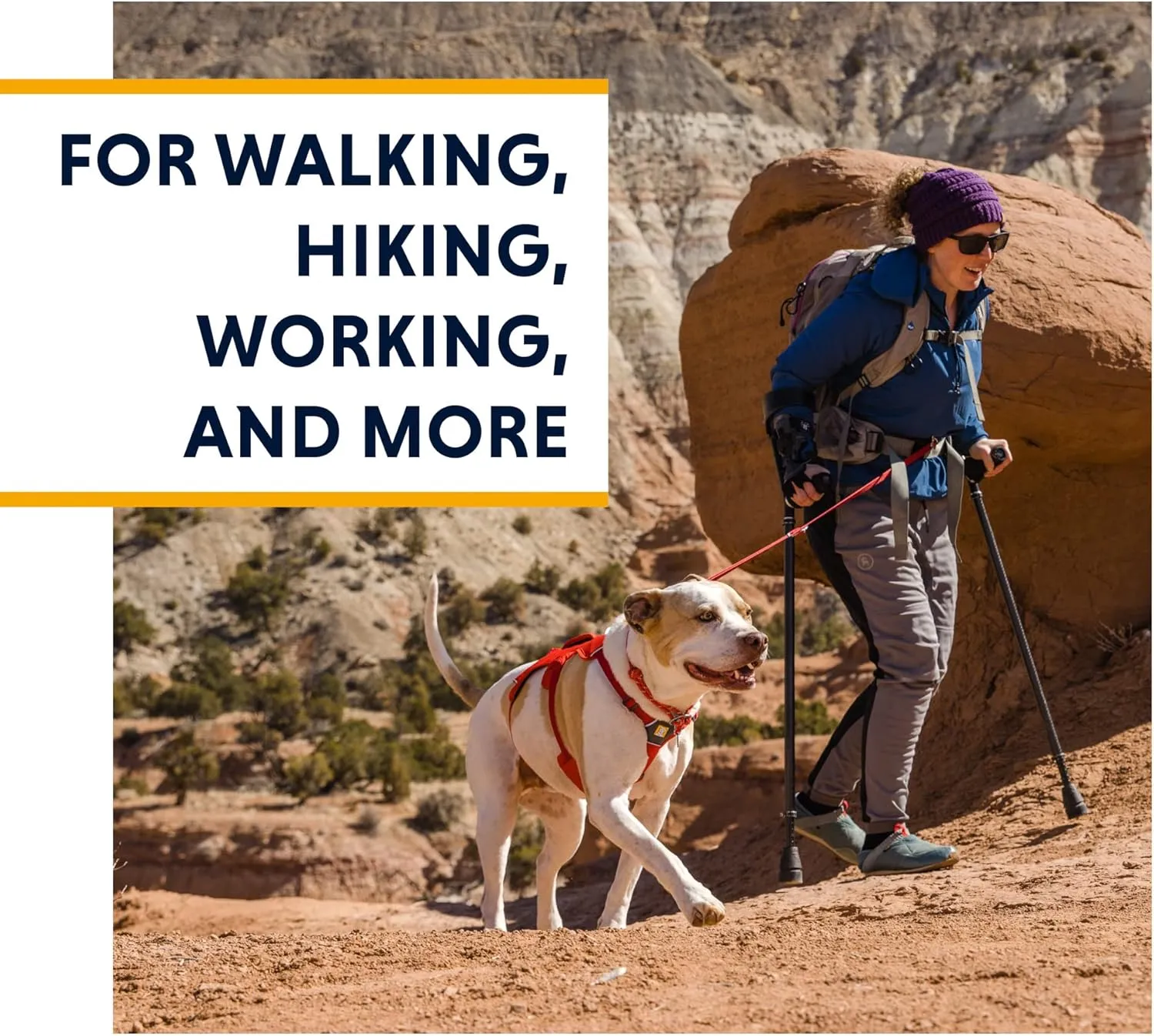Ruffwear, Web Master, Multi-Use Support Dog Harness, Hiking and Trail Running, Service and Working, Everyday Wear, Purple Rain, X-Small