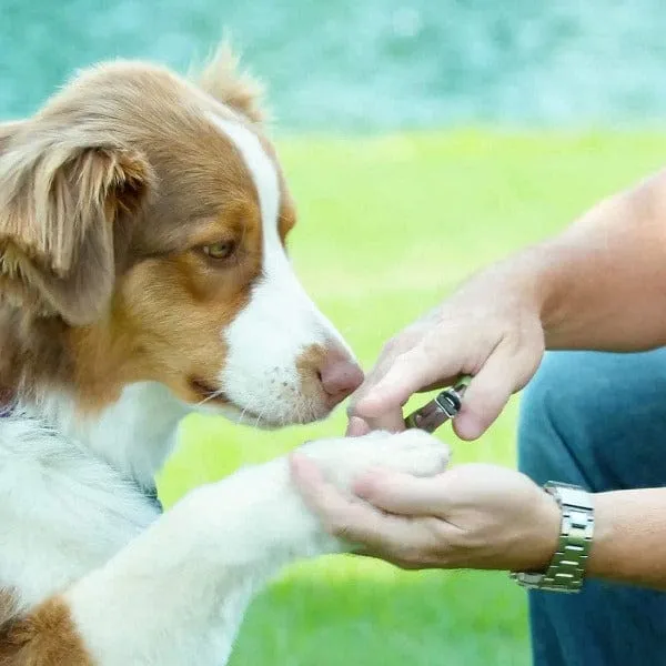Safari Guillotine Dog Nail Trimmer