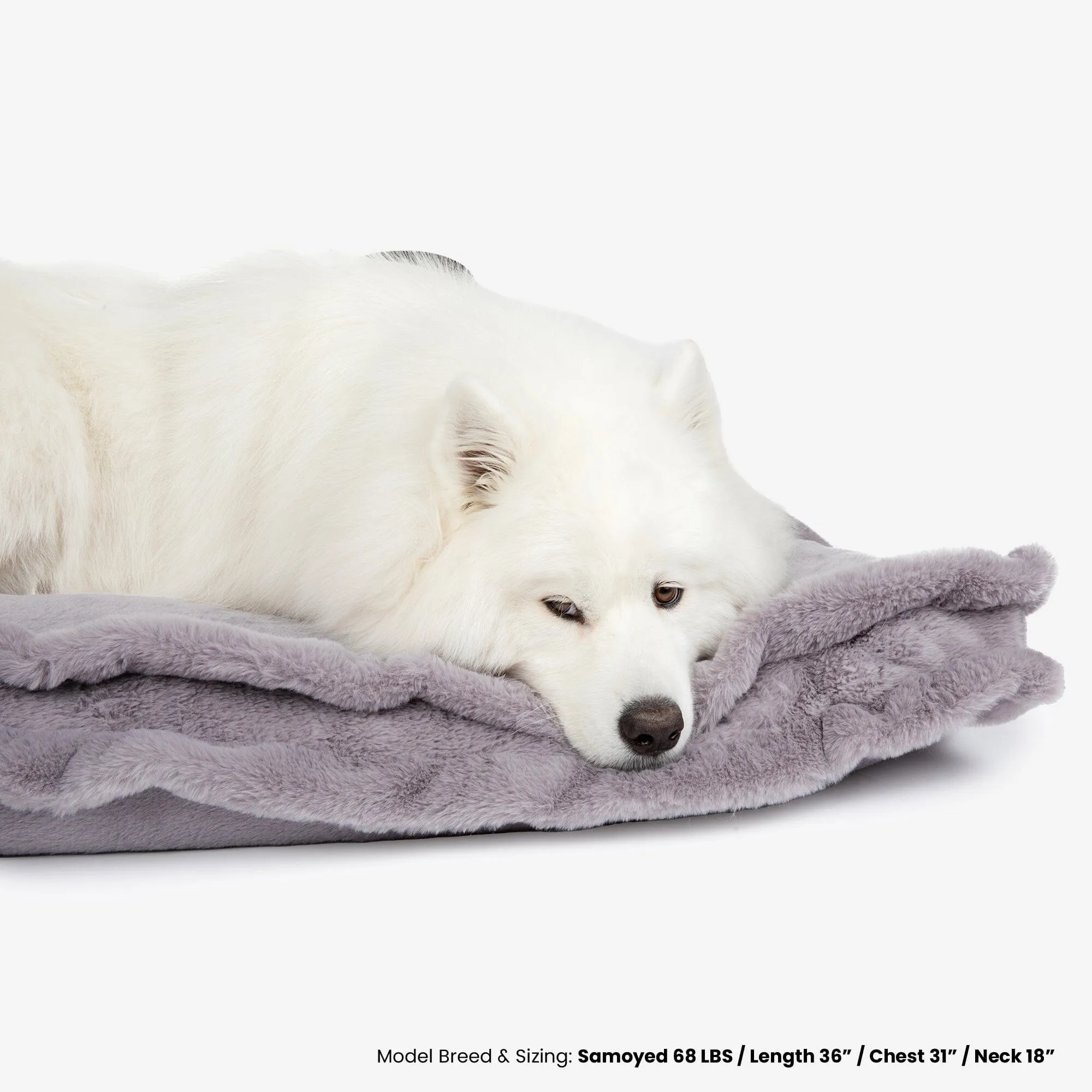 The Super Cloud Large Pillow Bed in Pearl River Gray