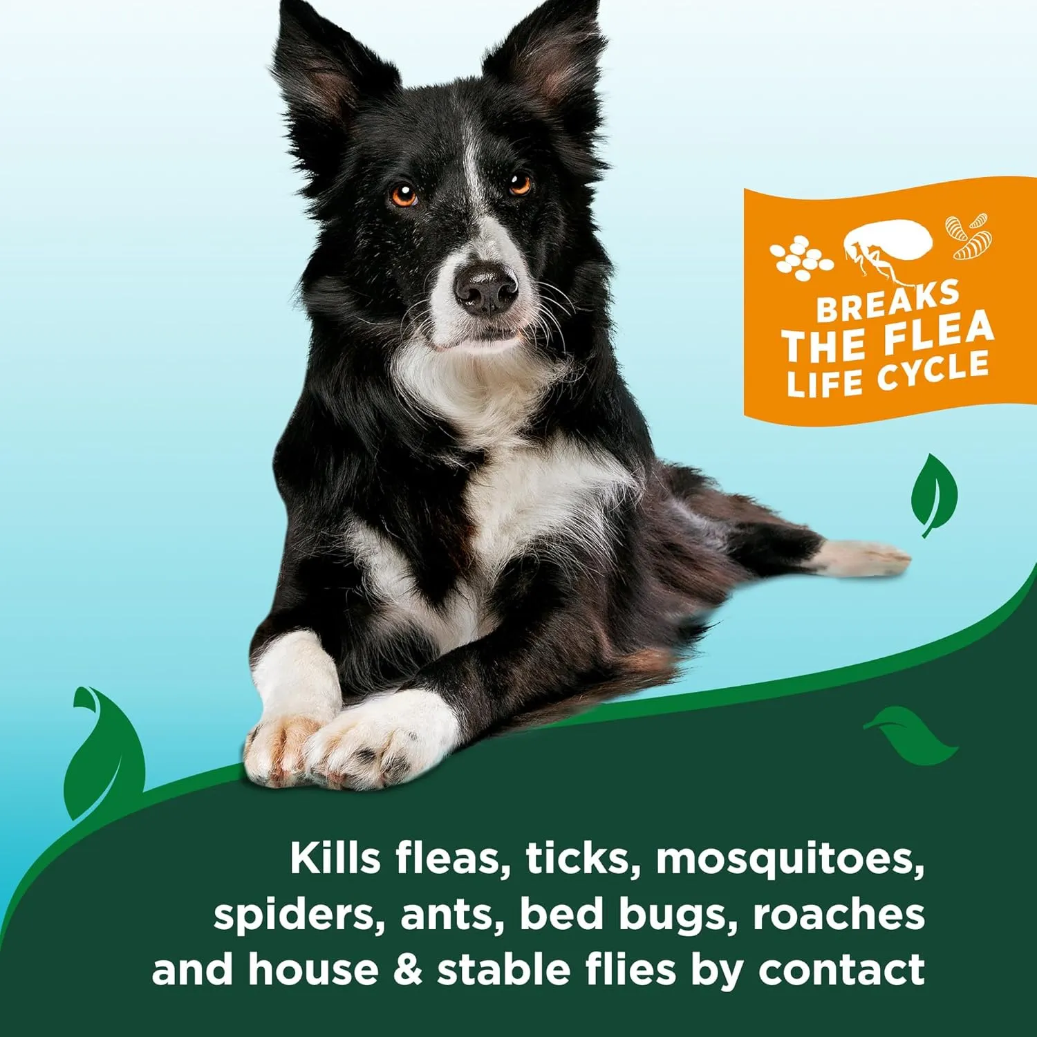 Vet's Best Flea & Tick Waterless Bath for Dogs  Dog Waterless Bath  Kills Fleas & Tick  Natural Flea and Tick Prevention  Kills Fleas on Contact  8oz