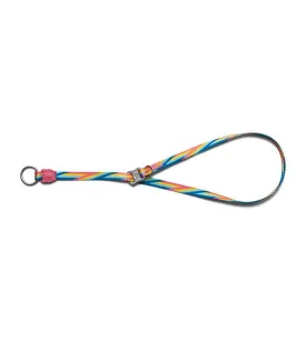 Zee.Dog Bowie Obedience Dog Collar