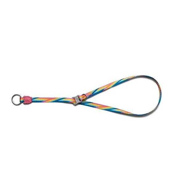 Zee.Dog Bowie Obedience Dog Collar