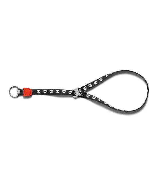 Zee.Dog Skull Obedience Dog Collar