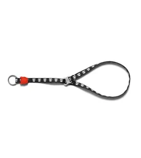 Zee.Dog Skull Obedience Dog Collar